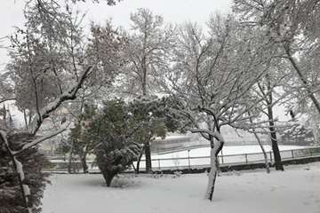 زمستان در دانشگاه